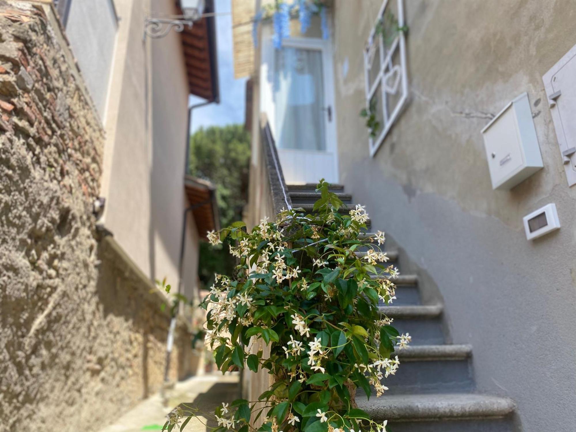 La Petite Maison Usigliano Exterior foto